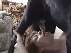 Here, an older floozy engages in a fierce beast sex frolic with her enormous dog, exposing her thick physique.